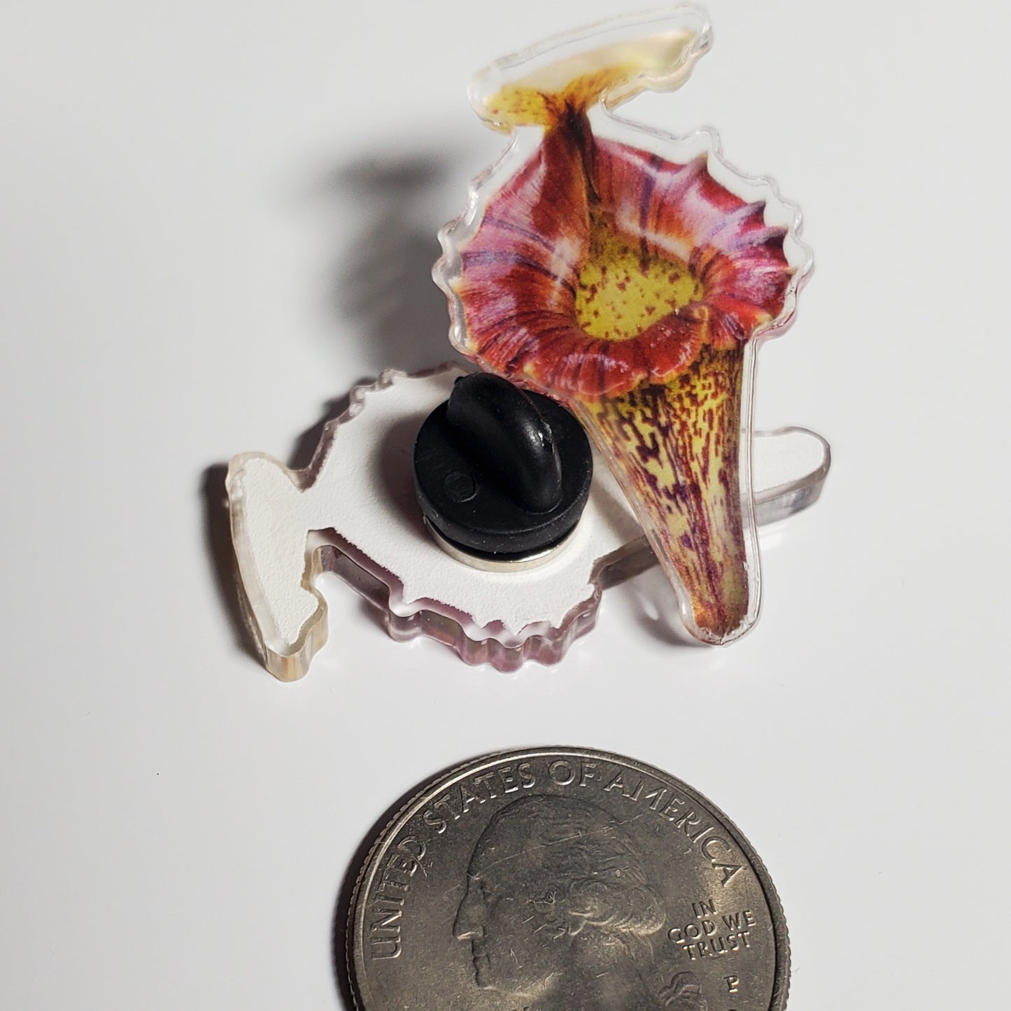 Nepenthes Acrylic Pin